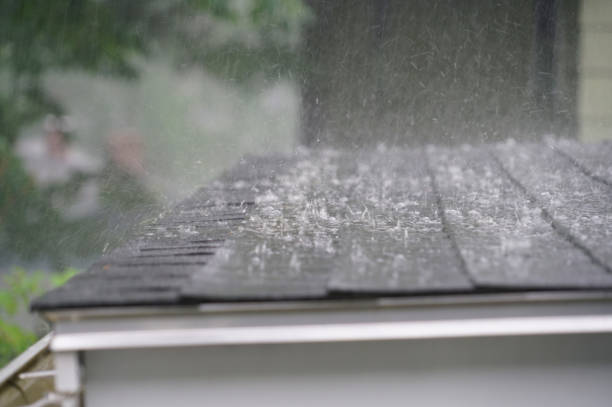 Best Roof Insulation Installation  in Tehachapi, CA